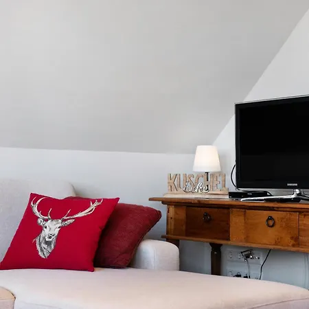 Hirschsprung Saig Apartamento