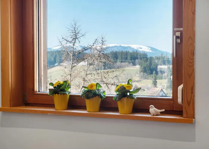 Hirschsprung Saig アパート